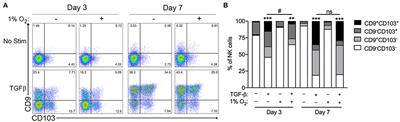 The Production of Pro-angiogenic VEGF-A Isoforms by Hypoxic Human NK Cells Is Independent of Their TGF-β-Mediated Conversion to an ILC1-Like Phenotype
